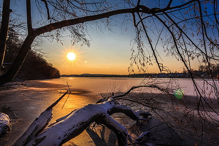drift woods on seashore during dusk thumbnail