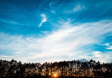 silhouette of trees under cloudy skies during sunrise thumbnail