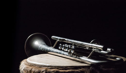 selective focus photography of trumpet thumbnail