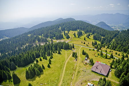 aerial photo of house surrounded by trees thumbnail