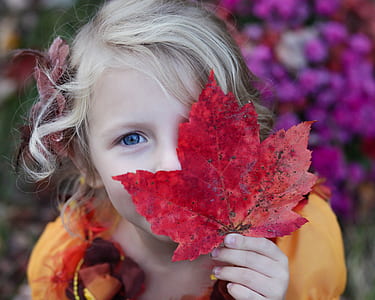 girl holding red maple leaf thumbnail
