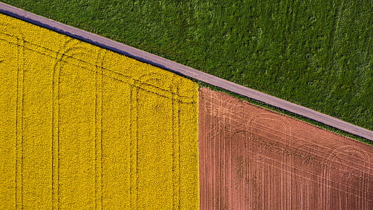 yellow and brown wallpaper thumbnail