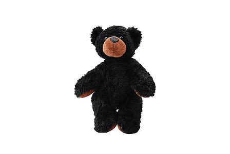 brown bear plush toy thumbnail