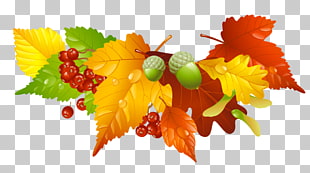 Autumn leaf color , Autumn Leaves and Acorns Decor , red and brown leaf illustration PNG clipart