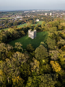 white concrete castle between forest thumbnail