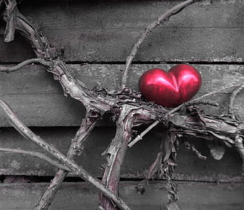 selective color of heart-shaped red table decoration thumbnail