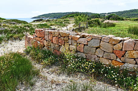 concrete brick wall near on grass field thumbnail