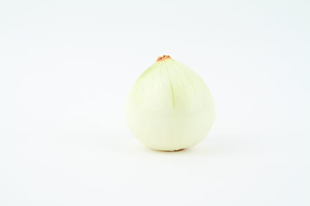white onion on white background thumbnail