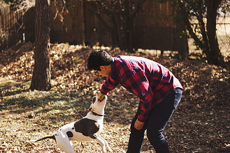 man petting black and white dog thumbnail