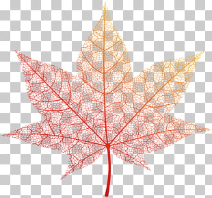 File formats Lossless compression, Transparent Orange Autumn Leaf , orange leaf photo PNG clipart