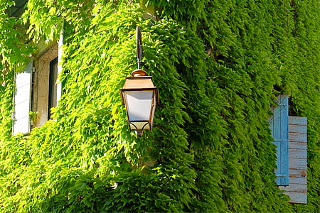 beige post light near green leafed plant thumbnail
