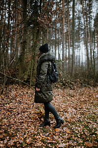 Autumn walk to the forest in foggy weather thumbnail