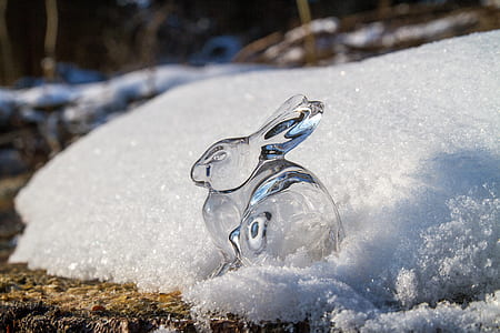clear rabbit glass decor on snow thumbnail