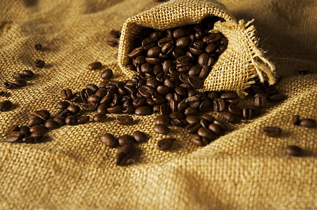 coffee beans on brown fabric thumbnail