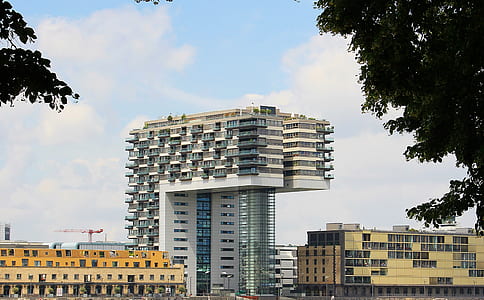 high-rise buildings near tree thumbnail