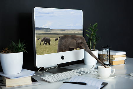 silver iMac on white wooden table thumbnail