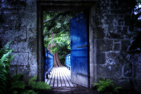 green fern plants near door panel illustration thumbnail