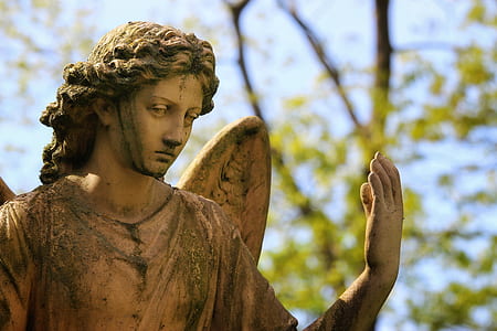 close-up photo of brown concrete angel statue thumbnail