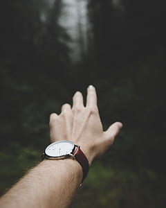 person wearing round silver-colored watch thumbnail