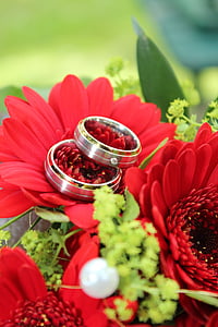 silver-colored bridal band rings on red Gerbera daisy flower thumbnail