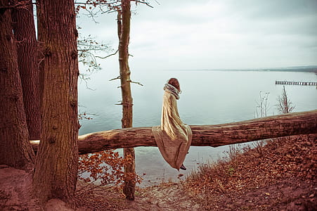 woman sitting on wood trunk near lae thumbnail