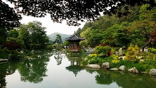 gazebo near body of water and tree thumbnail