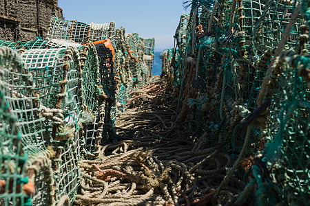 fishing, net, rope, sea, sunny, day thumbnail