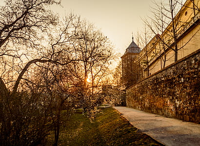 Castle Walls Surrounded by Trees thumbnail