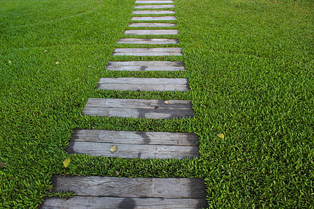 brown wooden pathway during daytime photo thumbnail