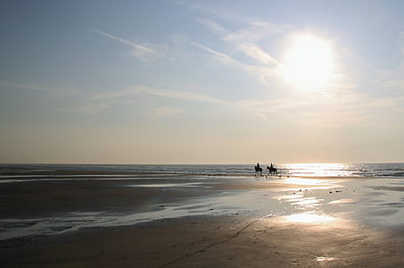 silhouette of two person riding on horse during sunrise thumbnail