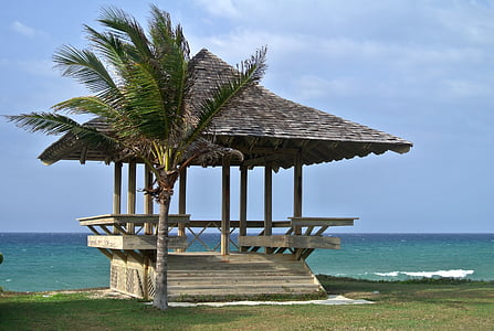 brown gazebo on beach thumbnail