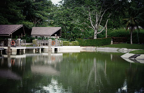 Body Of Water thumbnail