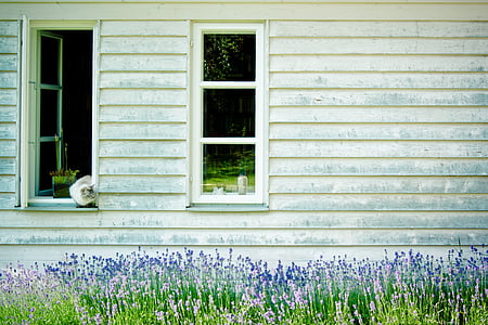 white painted wall house thumbnail