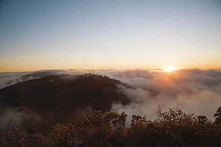 green trees near clouds at daytime thumbnail
