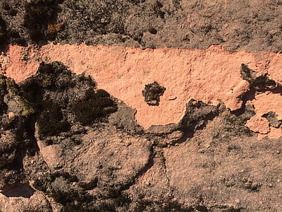 brown soil thumbnail