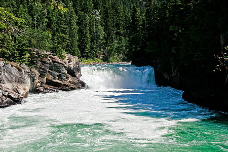 landscape photography of river with trees thumbnail