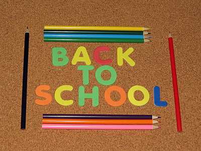 back to school decorations thumbnail