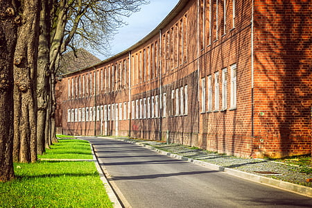 street between tall trees and building thumbnail