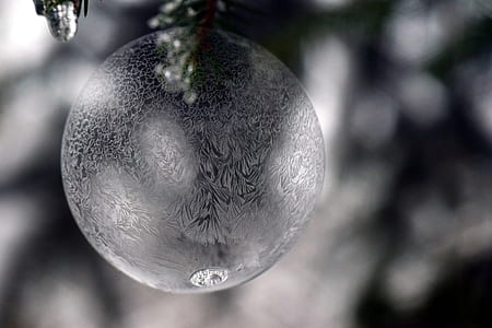 grayscale photography of glass ornament thumbnail