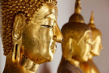 gold-colored Buddha focus photography thumbnail