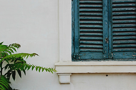closed teal wooden window with green plants thumbnail
