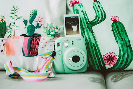 Green Instax Mini 8 Instant Camera Near Cactus Plant Printed Textiles thumbnail