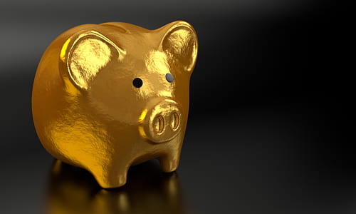 closeup photo of gold-colored pig figurine thumbnail