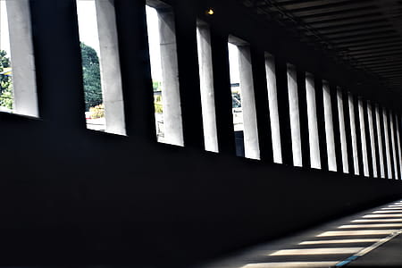 Gray Concrete Building thumbnail