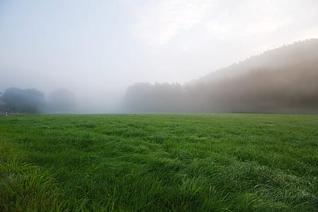 green grassfield at daytime thumbnail