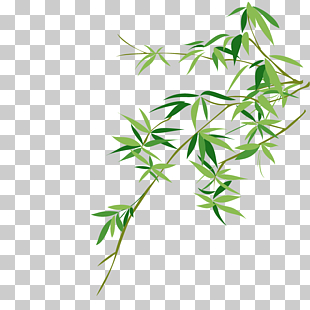 Bambusodae Chinese painting Bamboo painting, bamboo, green leafed plant PNG clipart