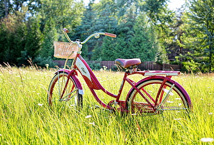 red commuter bike parked upright on grass field during daytime thumbnail