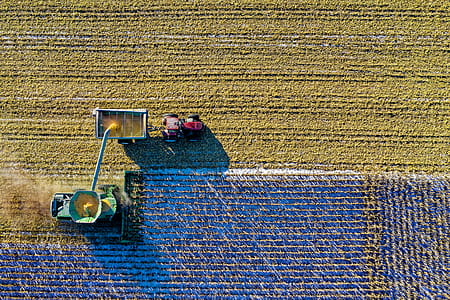 Top View of Green Field thumbnail