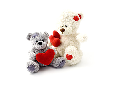 two white and grey teddy bears on white surface thumbnail