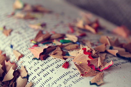 pencil scraps on book thumbnail